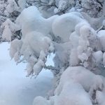 â?ï¸ Special Weather Forecast Bulletin: Snowfall covering reliefs of 1100 meters of altitude