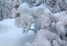 â?ï¸ Special Weather Forecast Bulletin: Snowfall covering reliefs of 1100 meters of altitude